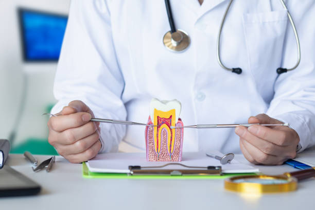 Best Broken Tooth Emergency  in Redwood, OR